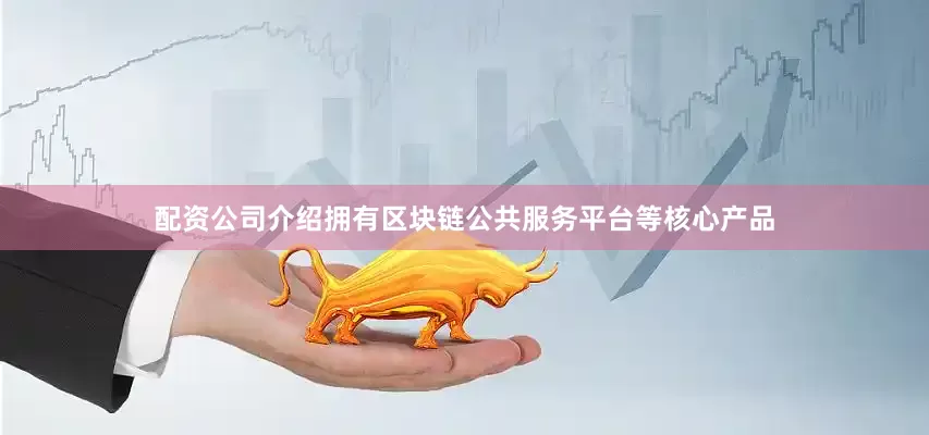 配资公司介绍拥有区块链公共服务平台等核心产品