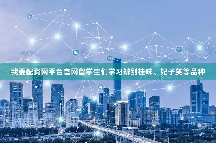 我要配资网平台官网留学生们学习辨别桂味、妃子笑等品种