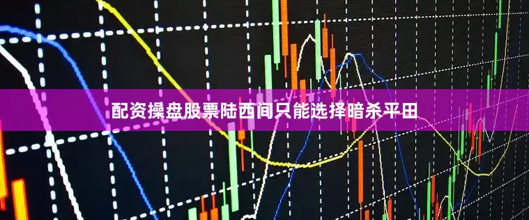 配资操盘股票陆西间只能选择暗杀平田
