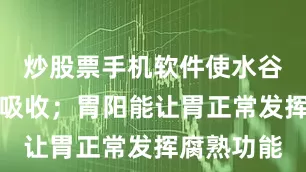 炒股票手机软件使水谷精微正常吸收；胃阳能让胃正常发挥腐熟功能